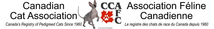 CCA logo
